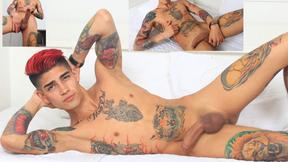 ”Bad Puppy - 4052 Max Stiven”