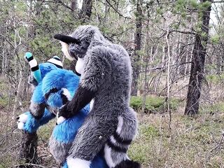 Excited furries bang in the wild