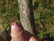 Wichsen im Wald