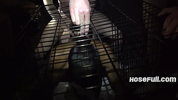 Welcoming Our New Filthy Pig Bottom