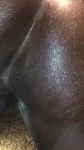 Black Booty Wants BBC