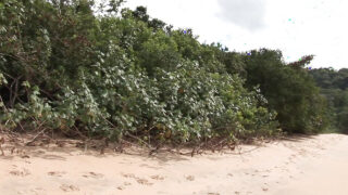 Ejaculare, fără șa – curve gay futute în cur