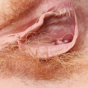 Hot hairy pussy babe Ana Molly gives a nice hairy show