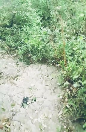 POV Naked Walk in the Woods
