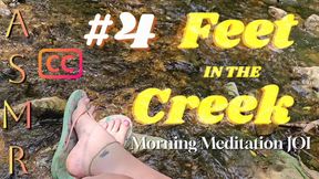 Feet in a Creek: Morning Meditation ASMR JOI Timer #4 with SUBTITLES | Relaxing Femdom Foot Worship with Cum Countdown | Flip Flops & Painted Toes Out