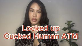 Locked up, cucked human ATM