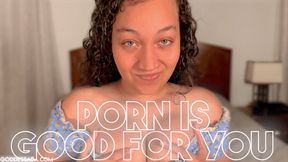 Porn Is Good For You