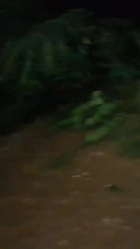 On My Kness Outdoor Risky Blowjob Gagging on BBC