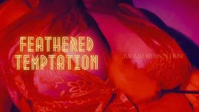 Feathered Temptation