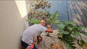 109KG BBW FACE SITTING ON THE NAUGHTY GARDENER DOMINATION - BY ROSALIA PEACH AND VICTOR RAMOS - FULL VERSION IN FULL HD - NEW APRIL 2026