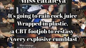 Miss Cataleya It's going to rain cock juice Wrapped in plastic, a CBT footjob to ecstasy A very explosive cumblast