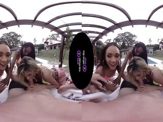 VirtualRealTrans.com - Spring breakers