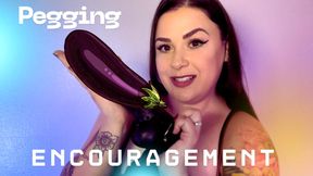 Pegging Encouragement: