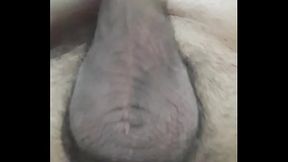 &Tau_&rho_&iota_&chi_&omega_&tau_&eta_ &Pi_&omicron_&upsilon_&tau_&sigma_&alpha_