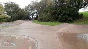 Skate park flashing and wanking