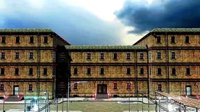 Catgirls Wild Ride: Busty Blowjob Deep Anal Pleasure Extravaganza