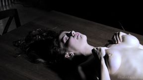 Dinner Service 2 - Avri Norwood
