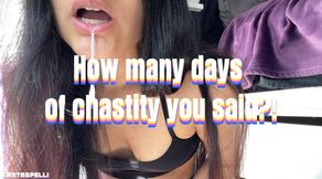 How many days of chastity did you say?!