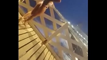 Ingrid Brito Avi&atilde_o