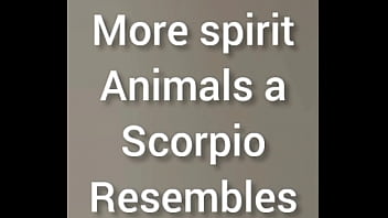 Other spirit animals a Scorpio resembles