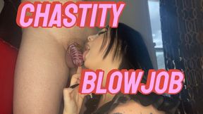 Chastity blowjob