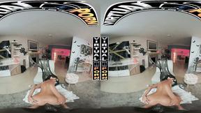 ”Doggy Delights - POV Compilation #4”