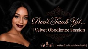 Don't Touch Yet… | Velvet Obedience Session [Soft Femdom Tease & Denial Audio]