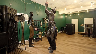 Rubber Pony Play: the stallion got saddled up and milked by a milking machine