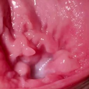 SUPER CLOSE UP - this is what the inside of the vagina looks like