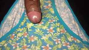 Step Sister&#039;s Panties