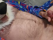 Furry Eunuch @AngryBarks gets Hard, Rubs His Cock and Empty Sack until He Shoots Infertile Cum 💦