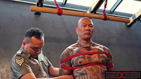 Bound Muscular Damian Dragon Jerks off Massive Cock