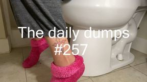The daily dumps #257 mp4