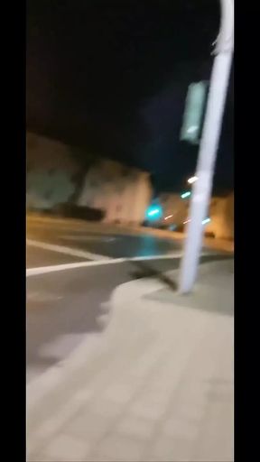 Nude Walk (dick Out)