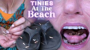 Tinies at the Beach (HD MP4)