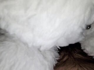 Teaser (fan purchased plushie) full movie coming in a short time
