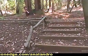 Bi stud bound and edged in the forrest