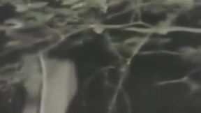 Twink Cruising for Cock