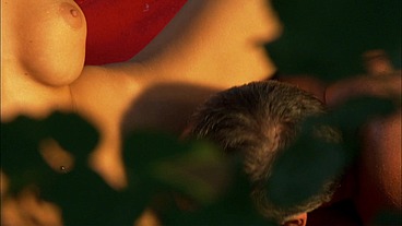 Its their dirty little secret, and no one has to know ho many times her pussy has been...