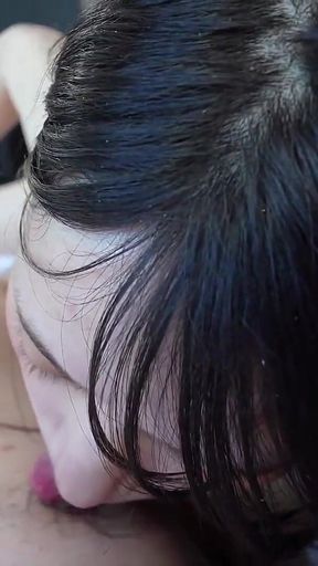 Asian Angel 24263