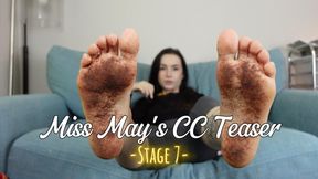Stage 7