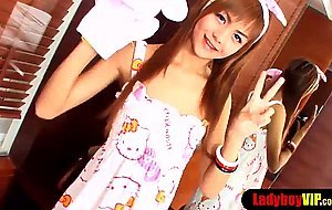 Flat chested asian ladyboy gets the D in her tight ass