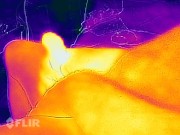 Flir Thermal solo man masturbating