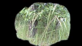 Wet Lesbian Sex in the Open Air