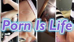 Porn Is LIfe: Gooner Programming *mp4*