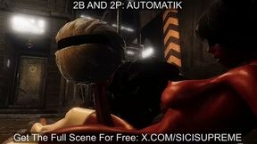 2B and 2P Automatik