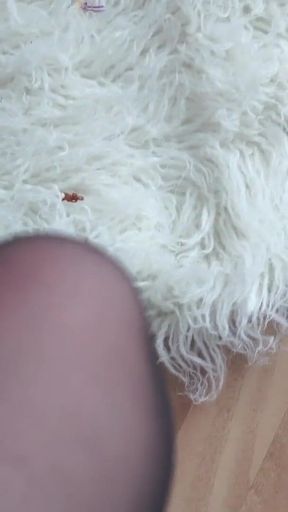 Giantess Plays Hide and Seek with Shrunken Colleagues