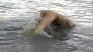 Boyz Party: Naked Dipping Leads to Trouble