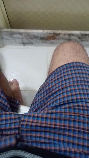 Saturday Morning in the Toilet with my Dick