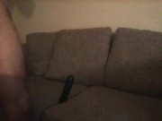 2012 Cucumber PP Fun